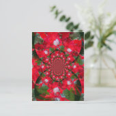 Carte Postale Fleur Rouge Naturelle Blanc Plumes Kaleidoscope Ar (Debout devant)