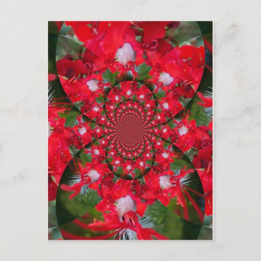 Carte Postale Fleur Rouge Naturelle Blanc Plumes Kaleidoscope Ar (Devant)