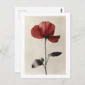Carte Postale Fleur rouge solitaire (Devant / Derrière)