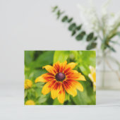 Carte Postale Fleur Rudbeckia (Debout devant)