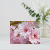 Carte Postale Fleur Sakura rose (Debout devant)