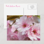 Carte Postale Fleur Sakura rose (Devant / Derrière)