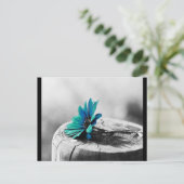 Carte Postale Fleur sarcelle (Debout devant)