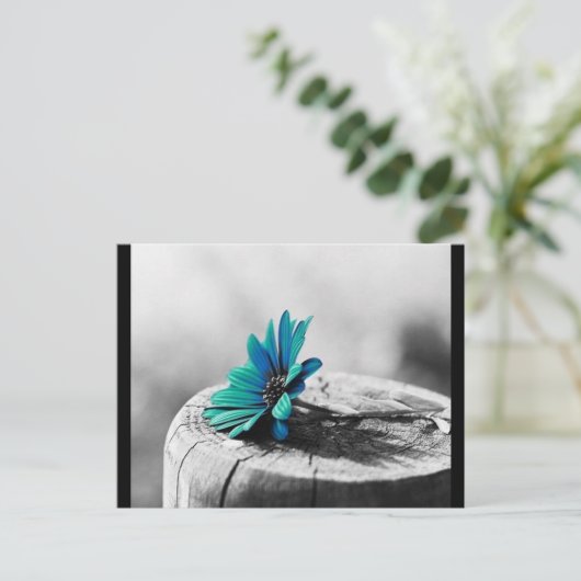 Carte Postale Fleur sarcelle (Debout devant)