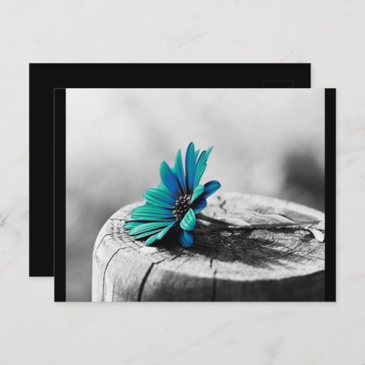 Carte Postale Fleur sarcelle (Devant / Derrière)