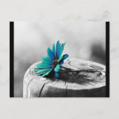 Carte Postale Fleur sarcelle (Devant)