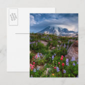 Carte Postale Fleur sauvage (Devant / Derrière)