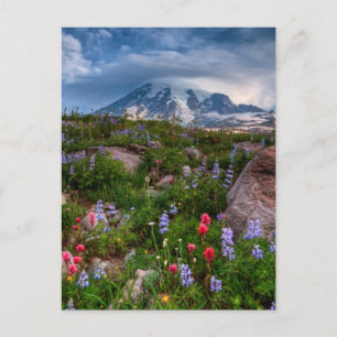Carte Postale Fleur sauvage