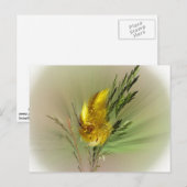 Carte postale Fleur sauvage (Devant / Derrière)