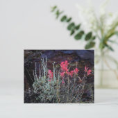 Carte Postale Fleur sauvage (Debout devant)