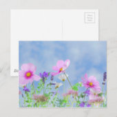 Carte Postale Fleur sauvage (Devant / Derrière)