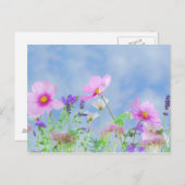 Carte Postale Fleur sauvage (Devant / Derrière)