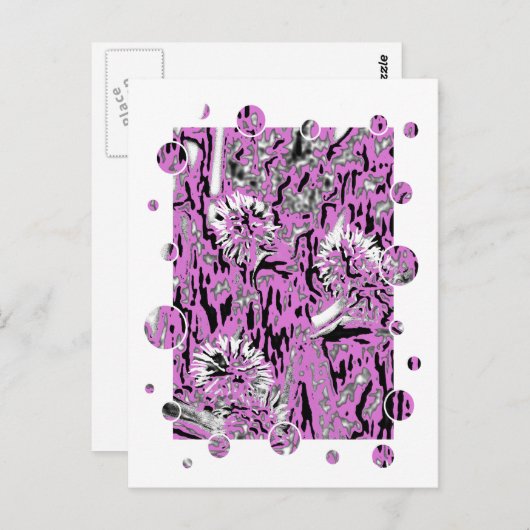 CARTE POSTALE FLEUR SAUVAGE (Devant / Derrière)