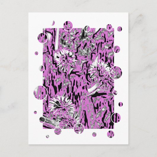 CARTE POSTALE FLEUR SAUVAGE (Devant)