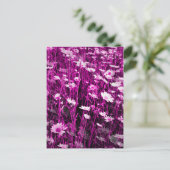 CARTE POSTALE FLEUR SAUVAGE (Debout devant)