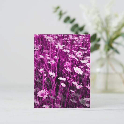 CARTE POSTALE FLEUR SAUVAGE (Debout devant)