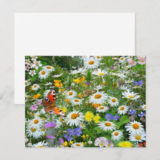 Carte Postale Fleur sauvage (Devant / Derrière)