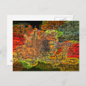 CARTE POSTALE FLEUR SAUVAGE (Devant / Derrière)