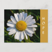 CARTE POSTALE FLEUR SAUVAGE (Devant)