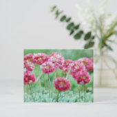 Carte Postale Fleur sauvage (Debout devant)