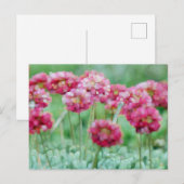 Carte Postale Fleur sauvage (Devant / Derrière)