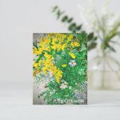 Carte postale fleur sauvage (Debout devant)