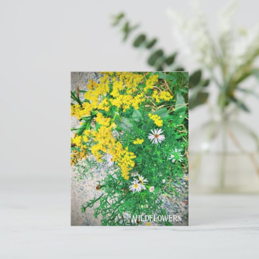 Carte postale fleur sauvage (Debout devant)