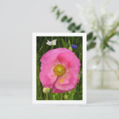 Carte postale fleur sauvage (Debout devant)