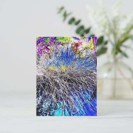 CARTE POSTALE FLEUR SAUVAGE (Debout devant)