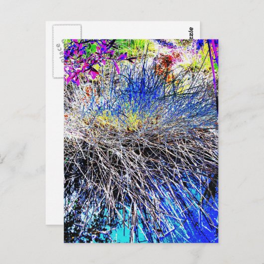 CARTE POSTALE FLEUR SAUVAGE (Devant / Derrière)