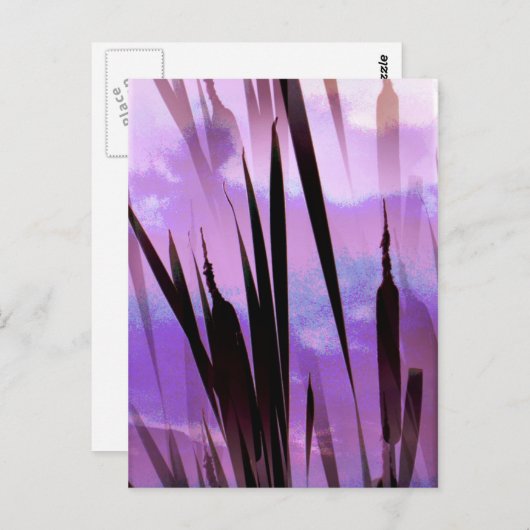 CARTE POSTALE FLEUR SAUVAGE (Devant / Derrière)