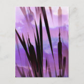 CARTE POSTALE FLEUR SAUVAGE (Devant)