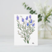 Carte postale fleur sauvage (Debout devant)