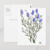 Carte postale fleur sauvage (Devant / Derrière)