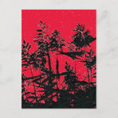 CARTE POSTALE FLEUR SAUVAGE (Devant)