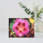 Carte Postale Fleur sauvage à cinq points du désert (Debout devant)