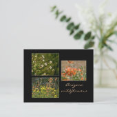 Carte postale fleur sauvage Arizona (Debout devant)