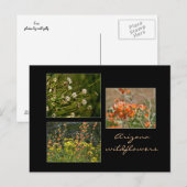 Carte postale fleur sauvage Arizona (Devant / Derrière)