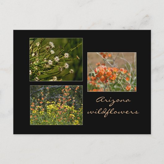 Carte postale fleur sauvage Arizona (Devant)