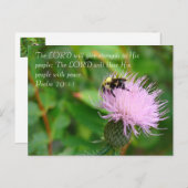 Carte Postale Fleur sauvage de chardon (Devant / Derrière)