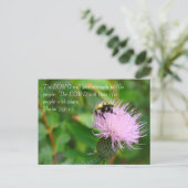 Carte Postale Fleur sauvage de chardon (Debout devant)