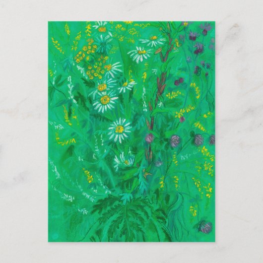 Carte Postale Fleur sauvage de juillet, Fleurs d'été peinture fl (Devant)