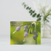 Carte postale Fleur sauvage de Nodding Wild Onion  (Debout devant)