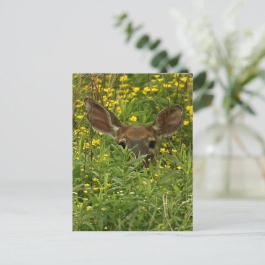 Carte postale Fleur sauvage Deer (Debout devant)