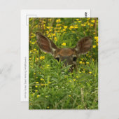 Carte postale Fleur sauvage Deer (Devant / Derrière)
