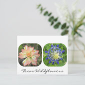 Carte postale Fleur sauvage du Texas (Debout devant)