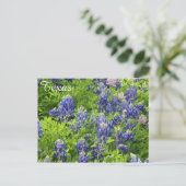 Carte postale Fleur sauvage du Texas Bluebonnets (Debout devant)