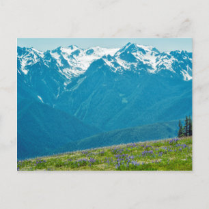 Carte Postale Fleur sauvage et Montagnes