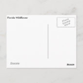 Carte postale Fleur sauvage Floride (Dos)