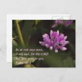 Carte Postale Fleur sauvage flottant (Devant / Derrière)